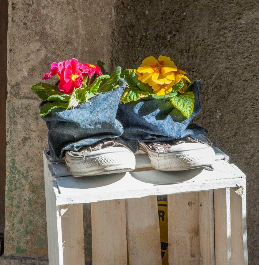 B&B Il Giullare Sulmona Exteriér fotografie